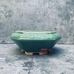 2026年最新】青磁 植木鉢の人気アイテム - メルカリ