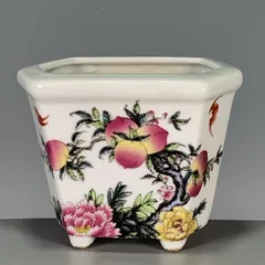 2025年最新】富貴長春の人気アイテム - メルカリ