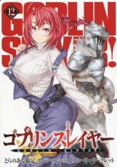 [중고] 애니메이션 무크 ≪리플릿·소책자≫ 고블린 슬레이어(12) 토라노아나 한정 스페셜 쇼트 스토리 리플릿 특전