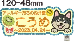 きうい✩°。⋆⸜(˙꒳˙ )⸝様専用★