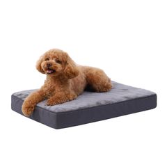 Item thumbnail for item a8c3fa05-e6da-4f03-be92-58a24e0e9d1d