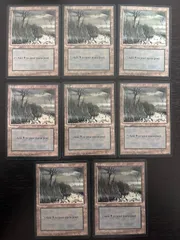 2025年最新】mtg 基本土地の人気アイテム - メルカリ