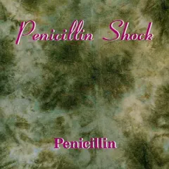 2026年最新】PENICILLIN : SHOCKの人気アイテム - メルカリ