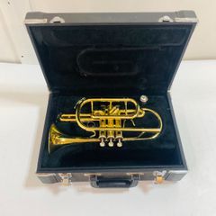 Item thumbnail for item a0f1ba97-b6a6-4968-b8e2-0bddf2f16bd6