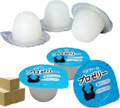 刷毛塗用水性、バランサーセット - メルカリ