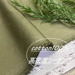 Item thumbnail for item 8a236db4-87e4-40ed-89d4-ab03b10ab8eb