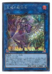 遊戯王 天威の龍仙女 シークレットレア - メルカリ