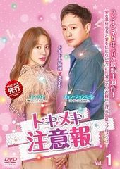 流れ星 韓国ドラマ イ・ソンギョン キム・ヨンデ レンタル落ち全巻