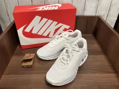 NIKE ナイキ メンズ スニーカー AIR MAX DN DV3337-101 ホワイト 左足変色 箱有り サイズ27.5cm