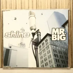 2026年最新】ミスタービックの人気アイテム - メルカリ