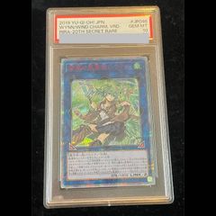 PSA10メガラティアスex SAR M1S 088/063 メガラティアスex(SAR){ドラゴン}〈088/063〉[M1S] – 晴れる屋2