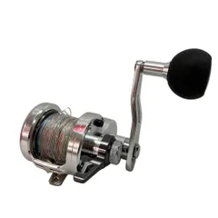 2025年最新】ダイワ キャタリナ ベイトリールの人気アイテム - メルカリ