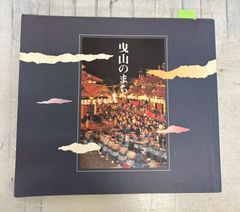真圧心療道 図解 皇乃子 真圧心療道 家庭でできる症状別治療法 (1988年) 中川信義