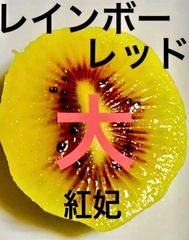 希少】レッドキウイ(レインボーレッド/紅妃) 1.2kg - メルカリ