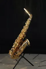 2025年最新】アルト 選定品の人気アイテム - メルカリ