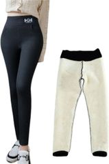 Item thumbnail for item 462db087-53a8-4665-8969-f878709e11d6