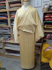 正絹 2点セット 絽 新品夏物名古屋帯 淡い黄緑 色無地 一つ紋 - メルカリ