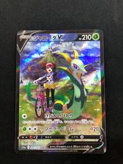 PSA10 2連番 そらをとぶピカチュウVMAX RRR 25th なみのりピカチュウV