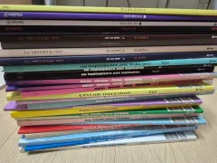 ディノ・イチャン フール カリー教材