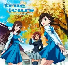 2026年最新】truetearsの人気アイテム - メルカリ 「true tears」（P.A.WORKS）城端町・観光宣伝B1ポスター