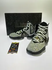 2025年最新】nike lebron xixの人気アイテム - メルカリ