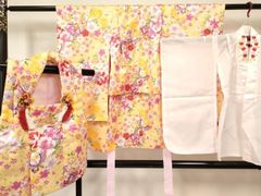 平和屋着物○太鼓柄袋帯 刺繍 貝紫 正倉院花唐草文 銀通し地 正絹 逸品