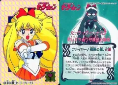 【中古】アニメ系トレカ 48[ノーマルカード]：第5の戦士セーラーヴィーナス