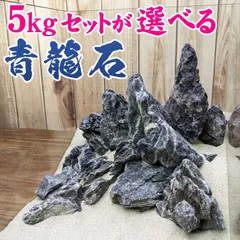 2025年最新】ada 龍王石の人気アイテム - メルカリ