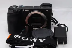 2025年最新】α6600の人気アイテム - メルカリ