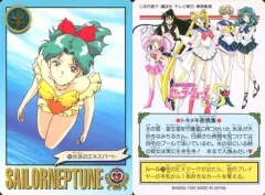 【中古】アニメ系トレカ 252[ノーマル]：水泳のエキスパート