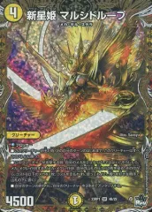 2026年最新】新星姫 マルシドループの人気アイテム - メルカリ