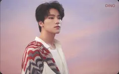 SEVENTEEN DINO 舞い落ちる花びら HMV トレーディングカード Pink