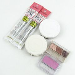 Item thumbnail for item 54cf62b8-7bd6-4111-bb10-85d648f8dc5b