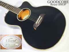 Squier スクワイヤー MIKE DIRNT PRECISION BASS マイクダーント