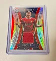 ヌ*ス様 ダルウィン ヌニェス サイン ユニフォーム 額縁入り