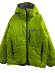 2025年最新】パタゴニア ゲッコーグリーンの人気アイテム - メルカリ