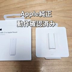 【現品限り】 純正 アップルペンシル 第1世代 iPad 10 アダプタ コネクタ USB-C apple pencil applepencil