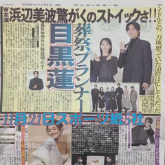 匿名配送！送料込み！  11月21日 朝刊　 スポーツ紙全5社