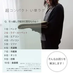 ラグ い草ラグ 約135×180cm おしゃれ コンパクト シンプル カーペット DXモーセ