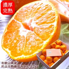 2026年最新】的兵みかんの人気アイテム - メルカリ