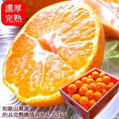 2026年最新】的兵みかんの人気アイテム - メルカリ