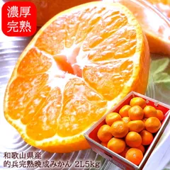 2026年最新】的兵みかんの人気アイテム - メルカリ