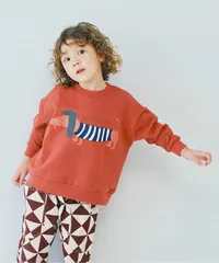 p.premier イロチ買いしたいバリエーショングラフィック裏起毛トレーナー　p511015