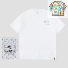 【本日限定特価】Ayc Teryx × PALACE コラボ メタリックシルバープリントTシャツ [本日特価|新品未使用品]