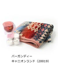 ☆パディントン in ペルー 劇場公開☆ランチボックス ボトル タグ 3点