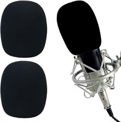 Item thumbnail for item 78ac0a54-e02d-46ea-a56e-a2a62b0d0281