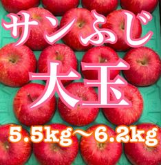 送料無料‼︎ サンふじりんご 大玉 ご家庭向け5.5kg〜6.2kg