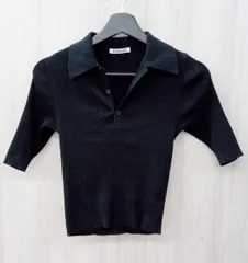 2025年最新】auralee ニットポロの人気アイテム - メルカリ