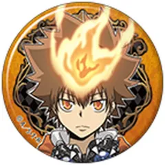 【中古】バッジ・ビンズ 沢田綱吉 「家庭教師ヒットマン REBORN! キャラバッジコレクション」