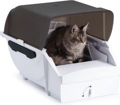 Item thumbnail for item 4e114651-22a8-478d-bd77-399a2688ced2